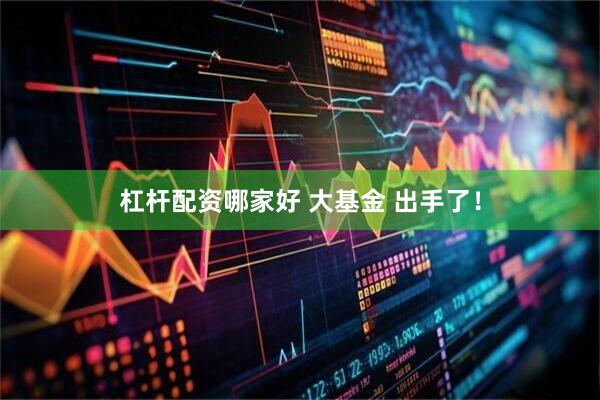 杠杆配资哪家好 大基金 出手了！